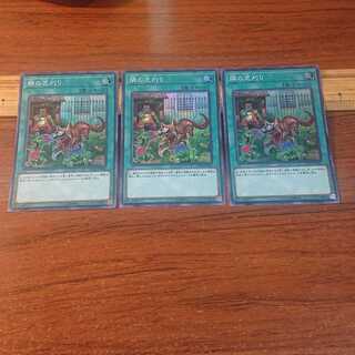 隣の芝刈り スーパーレア 3枚