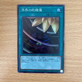 溟界の蛇睡蓮　シングル