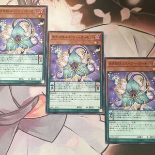 捕食植物スパイダー・オーキッド　3枚　遊戯王