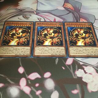 機怪神エクスクローラー ノーマル 3枚 遊戯王