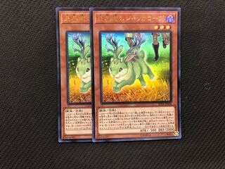 遊戯王　未界域のジャッカロープ　2枚セット　