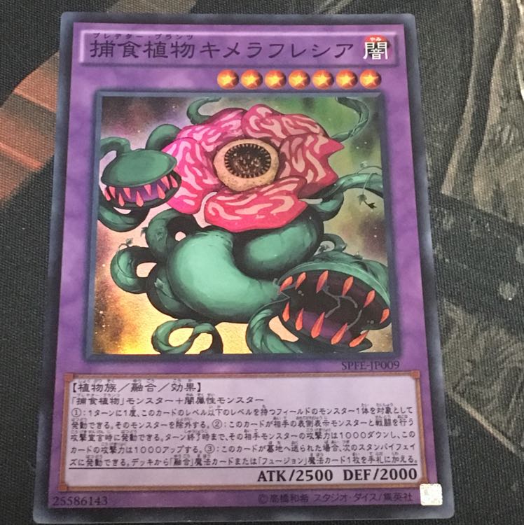 捕食植物キメラフレシア