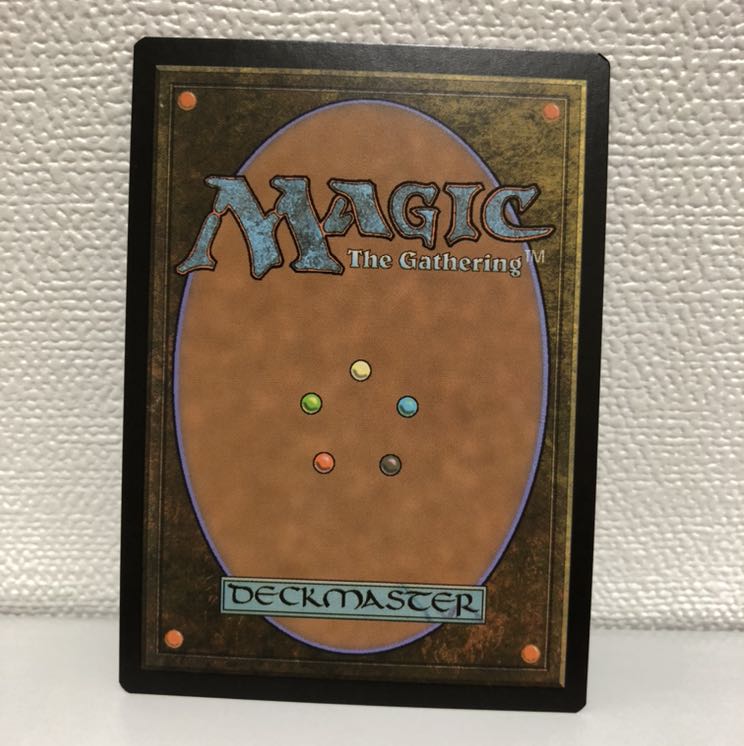 いずみ様専用　地平線の梢　日本語