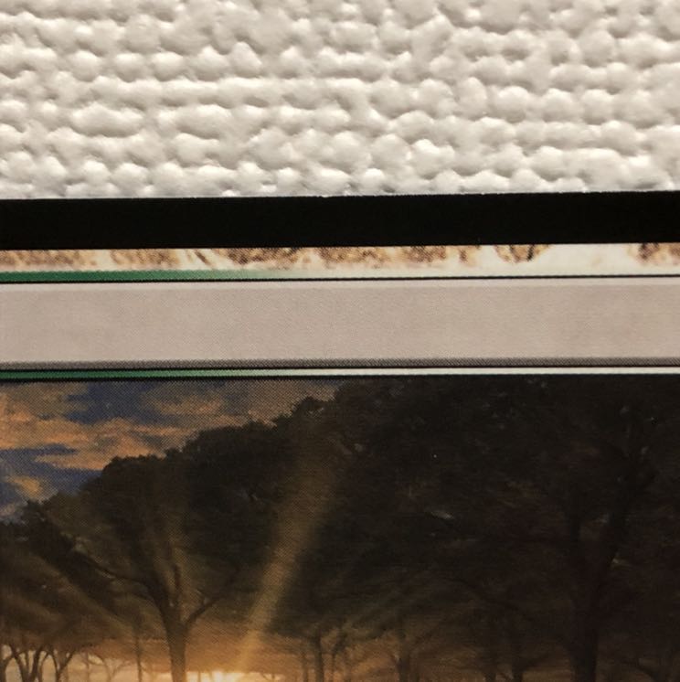 いずみ様専用　地平線の梢　日本語