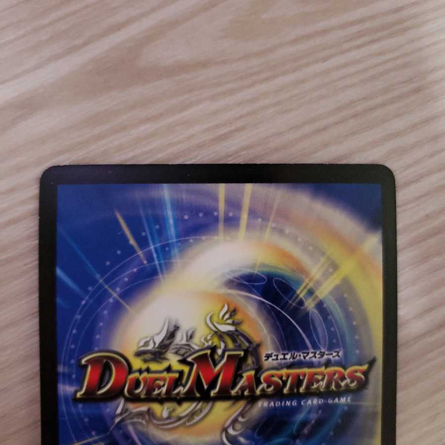 もりこ様専用 聖鎧亜キング・アルカディアス SE+ライジングNEX