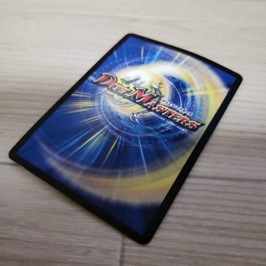 もりこ様専用 聖鎧亜キング・アルカディアス SE+ライジングNEX