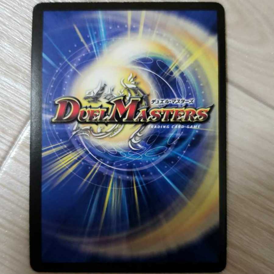 もりこ様専用 聖鎧亜キング・アルカディアス SE+ライジングNEX