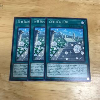 白薔薇の回廊 ノーマル