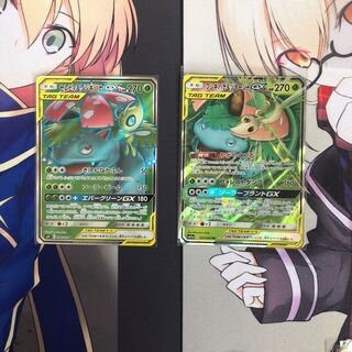 セレビィ&フシギバナsr＋rr