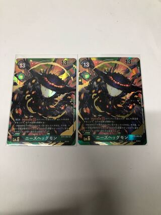 ニーズレッグモンP-SR2枚セット