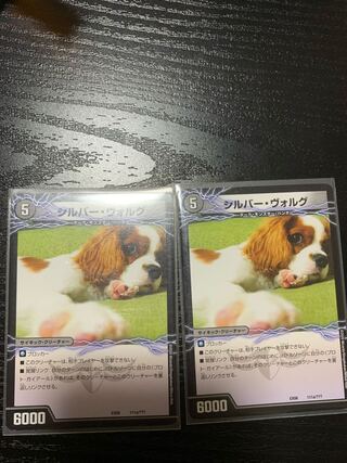 シルバー・ヴォルグ｜撃墜王ガイアール・キラードラゴン(下) 2枚