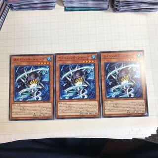 ライトハンド・シャーク