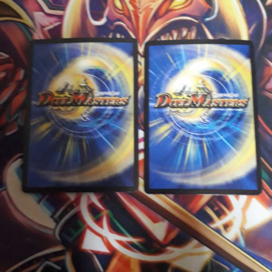 ディール2枚セット