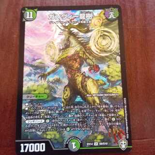 ガンヴィー龍樹１枚