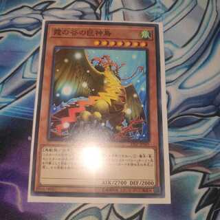 霞の谷の巨神鳥