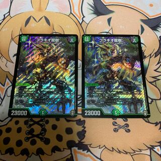 ブラキオ龍樹　2枚