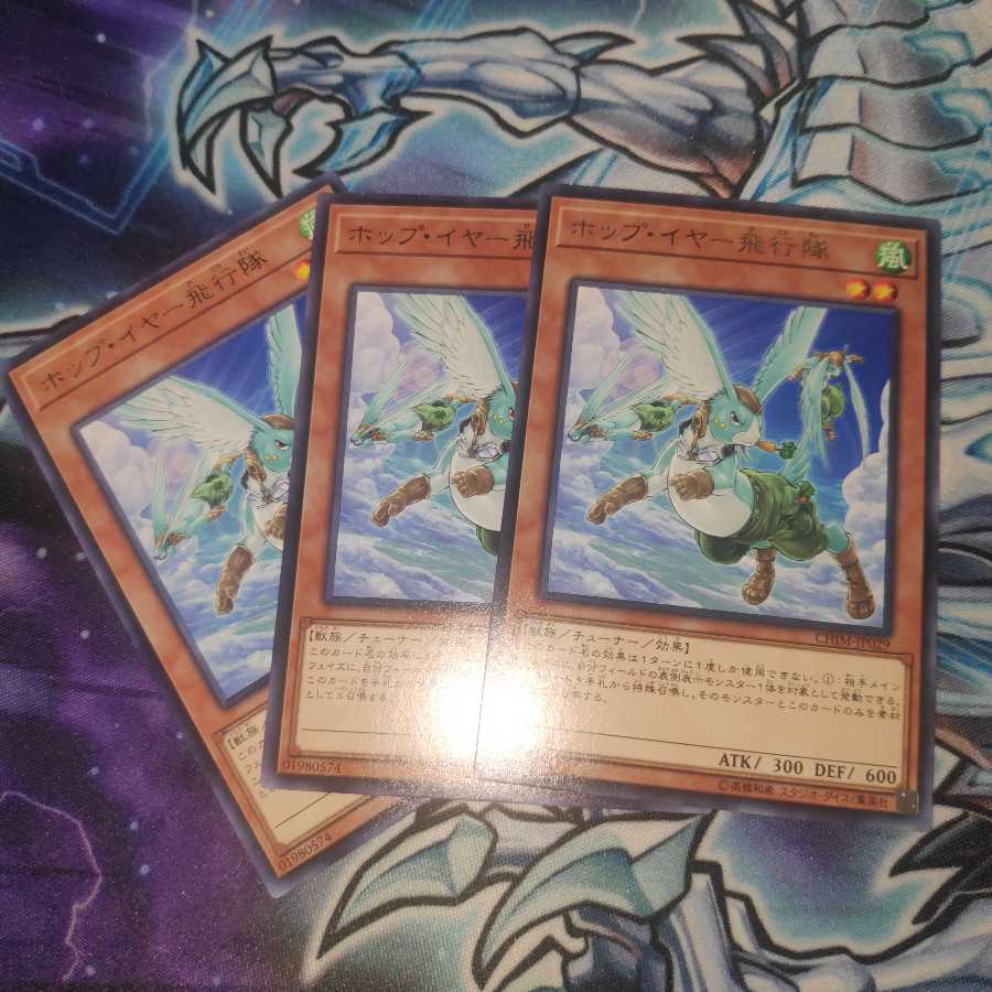 ホップ・イヤー飛行隊