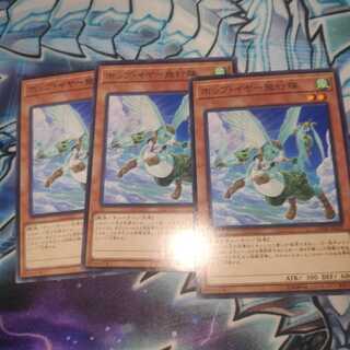 ホップ・イヤー飛行隊