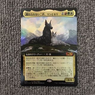 【拡張foil】離れられない二匹、リンとセリ