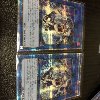 IPマスカレーナ 20thシク　２枚セット