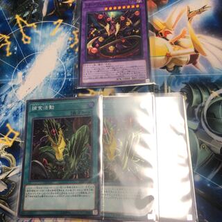 スターヴ・ヴェノム・フュージョン・ドラゴン