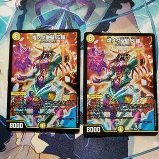 煌メク聖壁 灰瞳 2枚