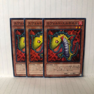 エヴォルド・エルギネル ノーマル　3枚　マホ子