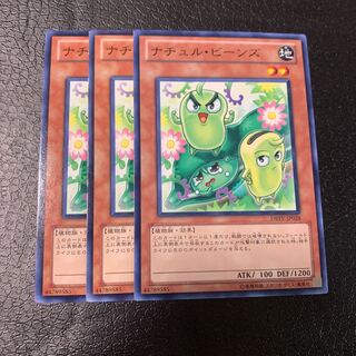 ナチュル・ビーンズ ノーマル