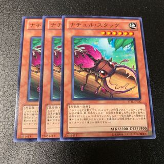 ナチュル・スタッグ ノーマル