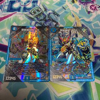 Forbidden institution vv-8