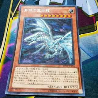 青眼の亜白龍 シークレットレア