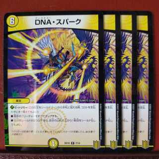セット割引　DNA・スパーク