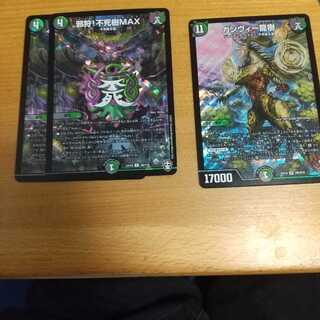 ガンヴィー龍樹