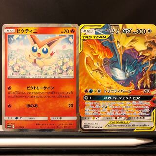 ビクティニと三鳥