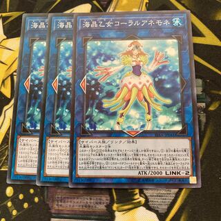 マドレース1973海晶乙女コーラルアネモネ ノーマル