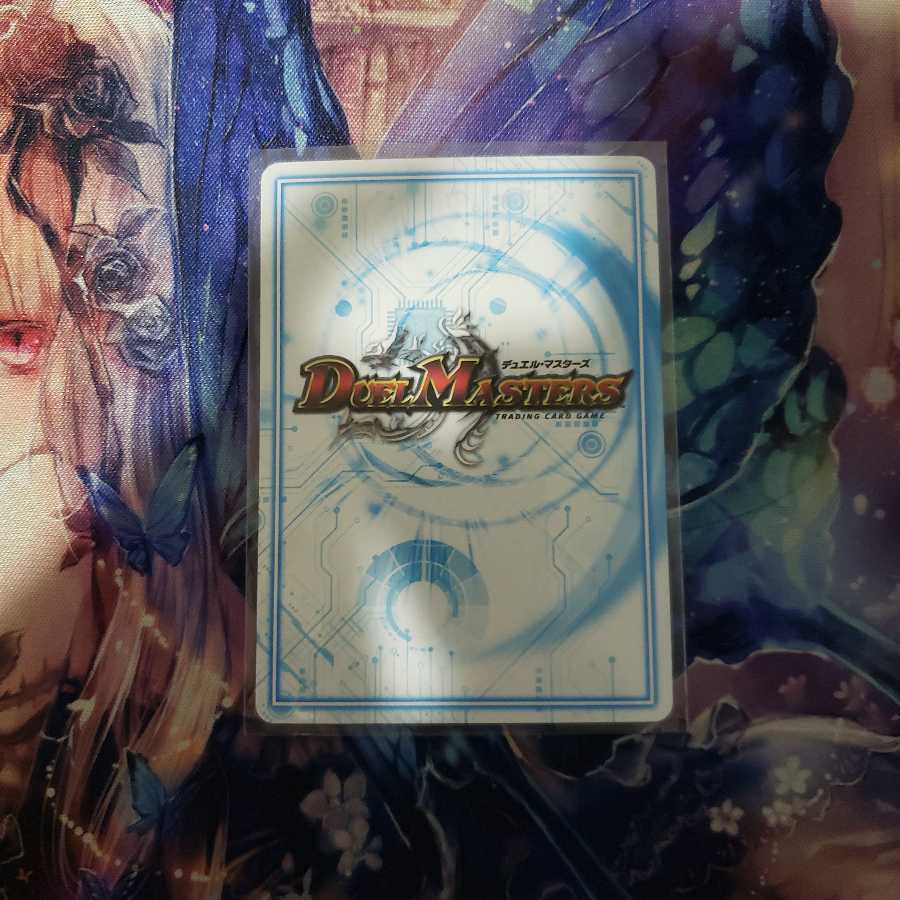 パッパラパーリ騎士