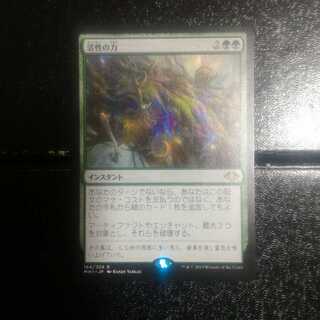 活性の力　日本語版