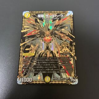 煌龍 サッヴァーク SE