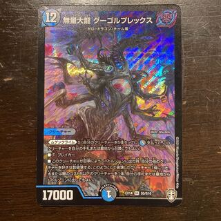 無量大龍 グーゴルプレックス