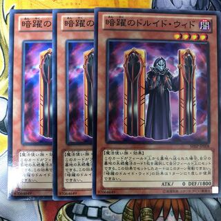 遊戯王　暗躍のドルイド・ウィド ノーマル3枚セット