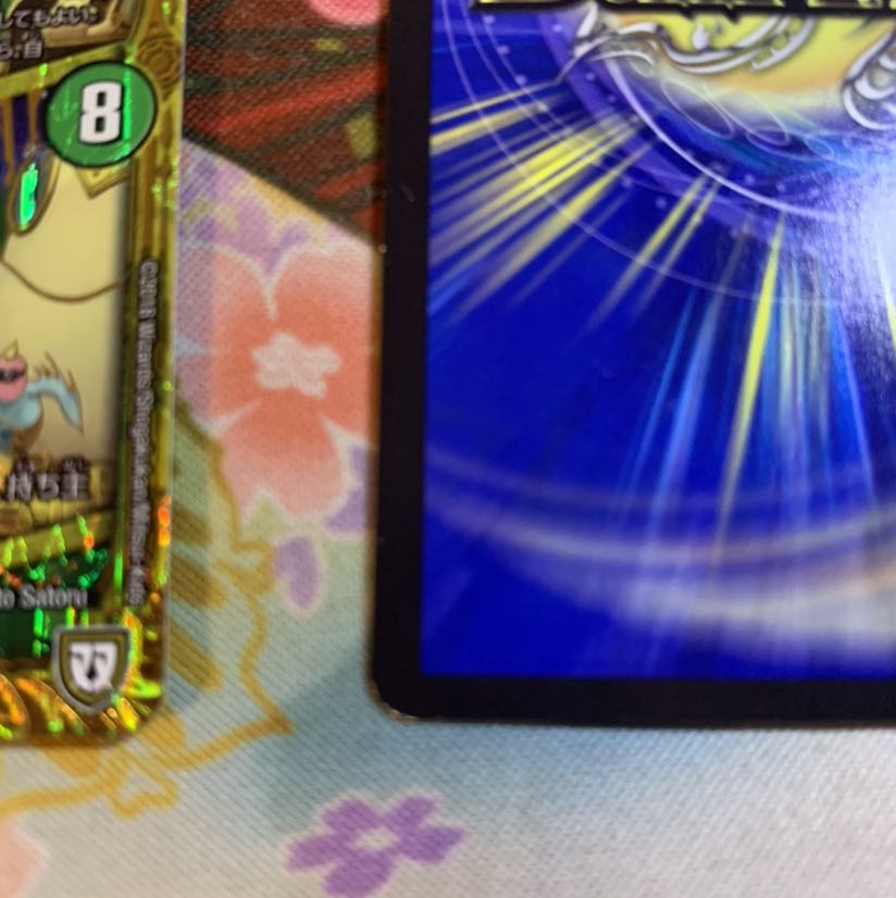 デンジャデオン4枚