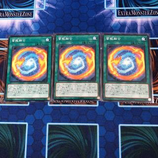 雷龍融合 ノーマル