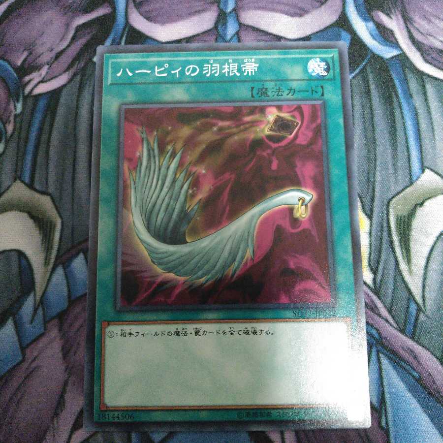 ハーピィの羽根帚 ノーマル