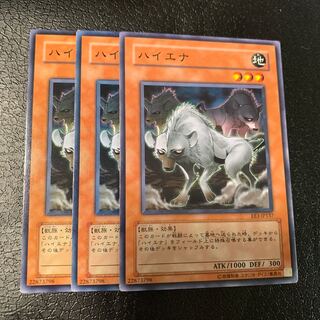 ハイエナ ノーマル