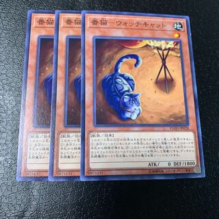 番猫-ウォッチキャット ノーマル