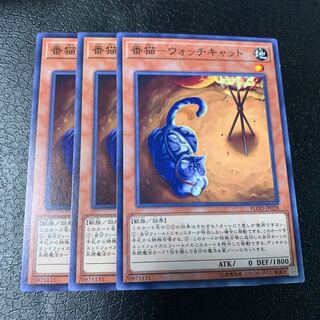 番猫-ウォッチキャット ノーマル