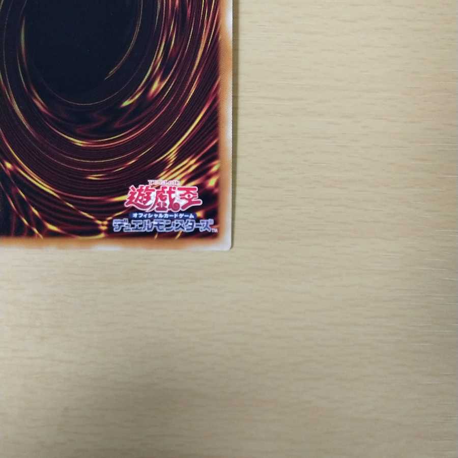 闇マリク様　専用 1枚