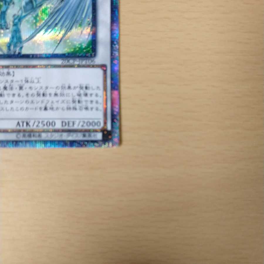 闇マリク様　専用 1枚