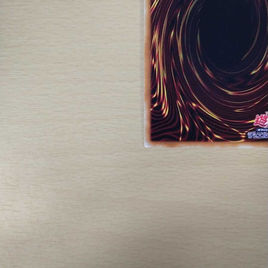 闇マリク様　専用 1枚