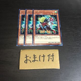 SR電々大公 レア